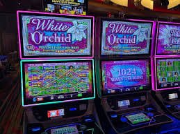 rs485 Live Casino